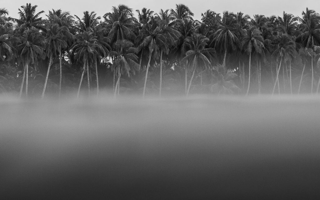 Joao Tome Photography, Joao Tome photo, Joao Tome Portrait